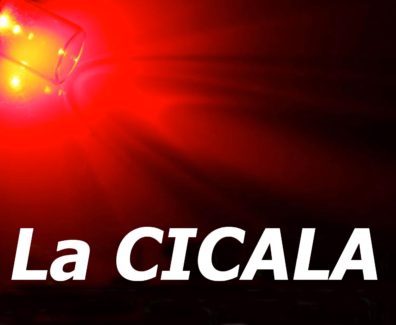 Parole del cinema: la Cicala