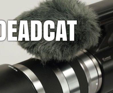 Termini cinematografici: Deadcat